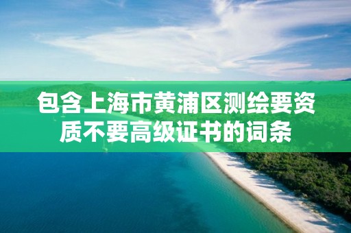 包含上海市黃浦區測繪要資質不要高級證書的詞條