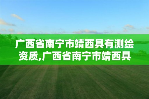 廣西省南寧市靖西具有測繪資質,廣西省南寧市靖西具有測繪資質的公司