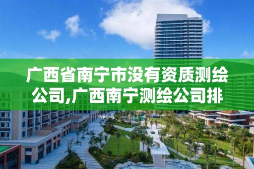 廣西省南寧市沒有資質測繪公司,廣西南寧測繪公司排名