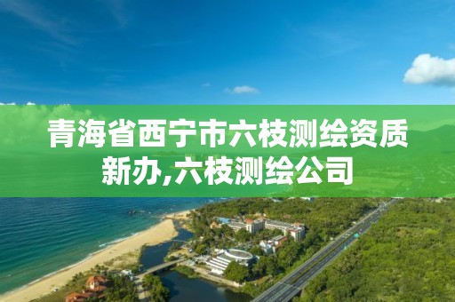 青海省西寧市六枝測繪資質(zhì)新辦,六枝測繪公司