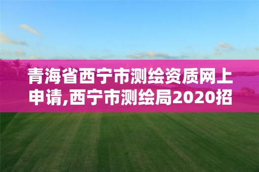 青海省西寧市測繪資質(zhì)網(wǎng)上申請,西寧市測繪局2020招聘