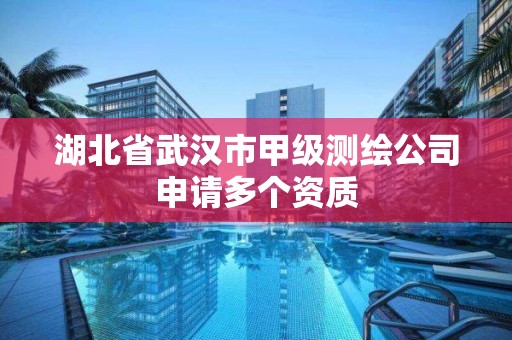 湖北省武漢市甲級測繪公司申請多個資質