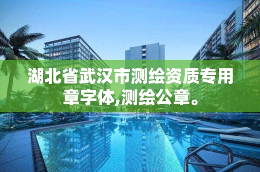 湖北省武漢市測繪資質專用章字體,測繪公章。