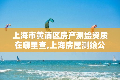 上海市黃浦區房產測繪資質在哪里查,上海房屋測繪公司有哪幾家。