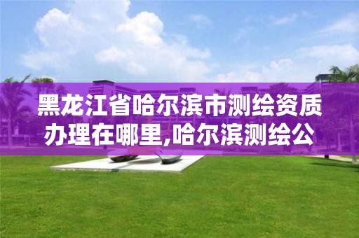 黑龍江省哈爾濱市測繪資質辦理在哪里,哈爾濱測繪公司電話