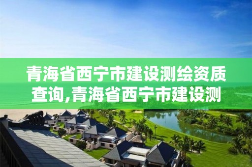 青海省西寧市建設測繪資質查詢,青海省西寧市建設測繪資質查詢網