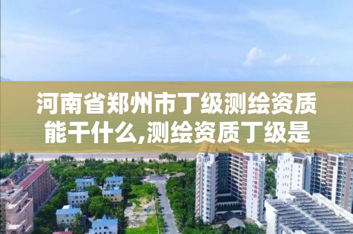 河南省鄭州市丁級測繪資質能干什么,測繪資質丁級是什么意思。