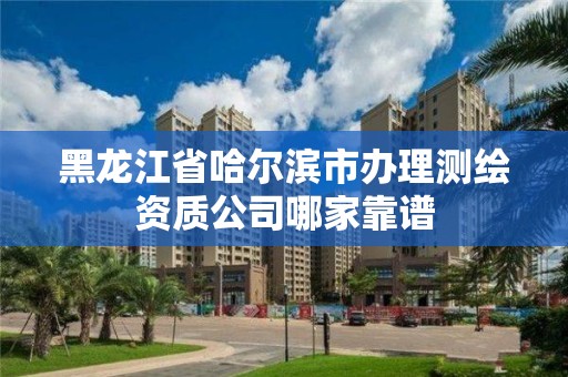 黑龍江省哈爾濱市辦理測繪資質公司哪家靠譜