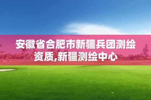 安徽省合肥市新疆兵團測繪資質,新疆測繪中心