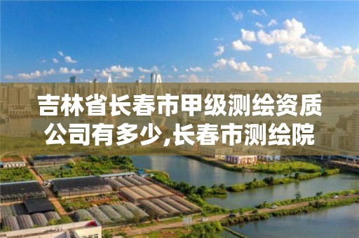 吉林省長春市甲級測繪資質(zhì)公司有多少,長春市測繪院工資待遇。