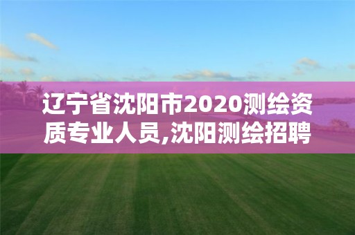 遼寧省沈陽(yáng)市2020測(cè)繪資質(zhì)專業(yè)人員,沈陽(yáng)測(cè)繪招聘信息