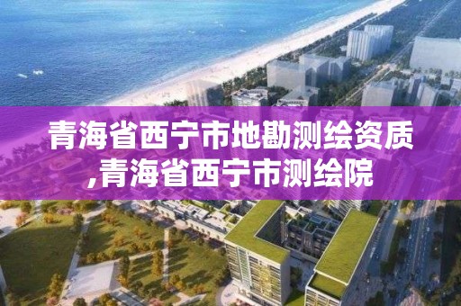 青海省西寧市地勘測繪資質,青海省西寧市測繪院