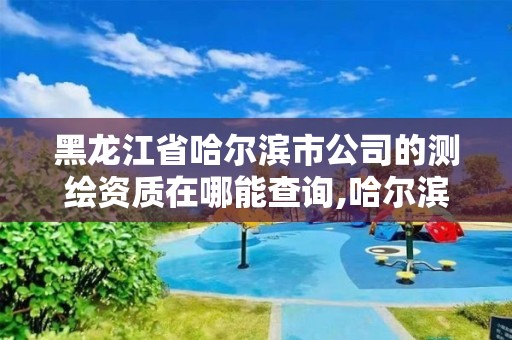 黑龍江省哈爾濱市公司的測繪資質在哪能查詢,哈爾濱測繪局幼兒園是民辦還是公辦。