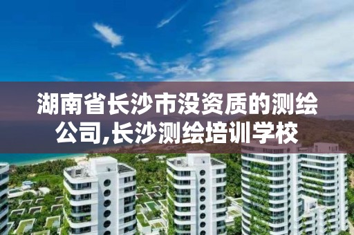 湖南省長沙市沒資質的測繪公司,長沙測繪培訓學校