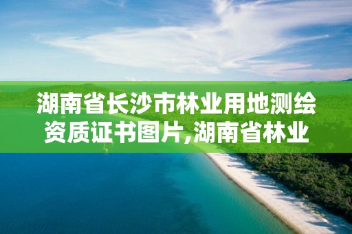 湖南省長(zhǎng)沙市林業(yè)用地測(cè)繪資質(zhì)證書圖片,湖南省林業(yè)勘測(cè)院。