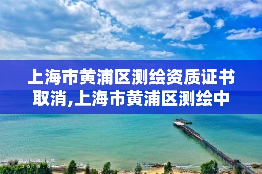 上海市黃浦區(qū)測(cè)繪資質(zhì)證書(shū)取消,上海市黃浦區(qū)測(cè)繪中心