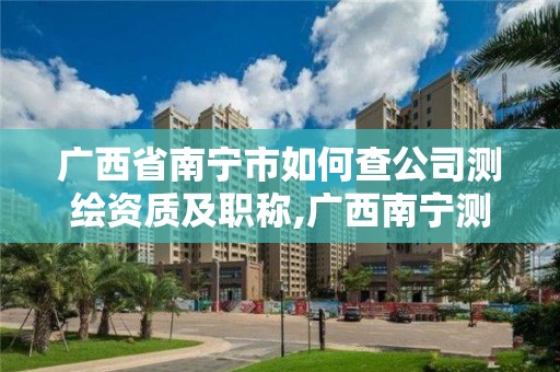 廣西省南寧市如何查公司測繪資質及職稱,廣西南寧測繪公司排名。