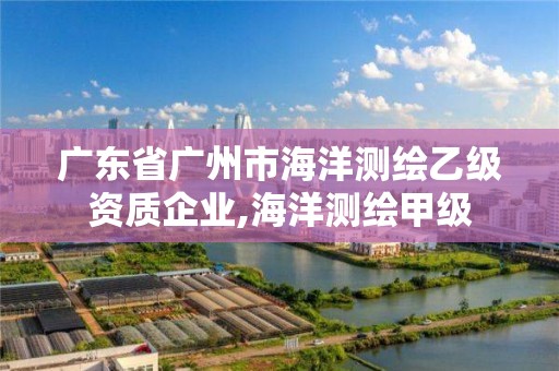 廣東省廣州市海洋測繪乙級資質(zhì)企業(yè),海洋測繪甲級