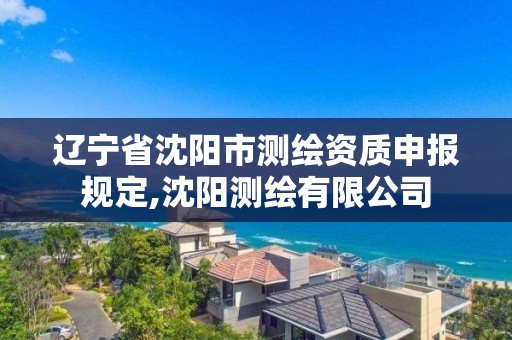 遼寧省沈陽市測繪資質申報規定,沈陽測繪有限公司