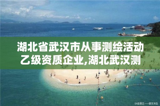 湖北省武漢市從事測繪活動乙級資質企業,湖北武漢測繪公司排行榜