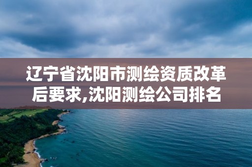 遼寧省沈陽市測繪資質改革后要求,沈陽測繪公司排名