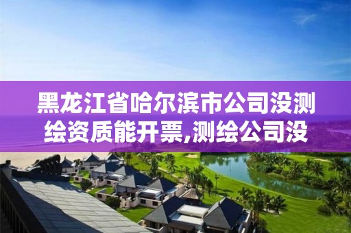 黑龍江省哈爾濱市公司沒測繪資質能開票,測繪公司沒有資質能開票