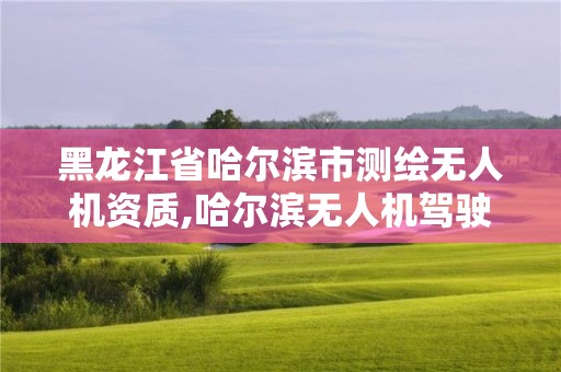 黑龍江省哈爾濱市測繪無人機資質(zhì),哈爾濱無人機駕駛證培訓學校