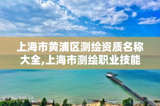 上海市黃浦區測繪資質名稱大全,上海市測繪職業技能培訓中心