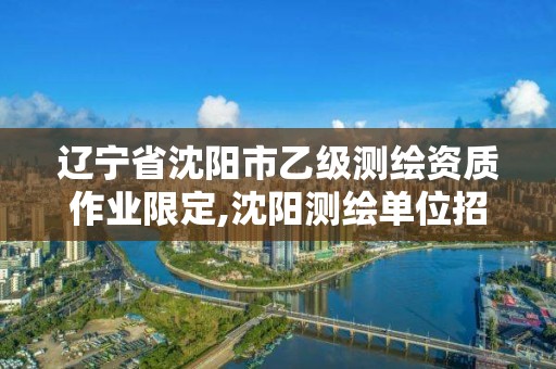 遼寧省沈陽市乙級測繪資質作業限定,沈陽測繪單位招聘