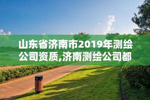 山東省濟南市2019年測繪公司資質,濟南測繪公司都有哪些