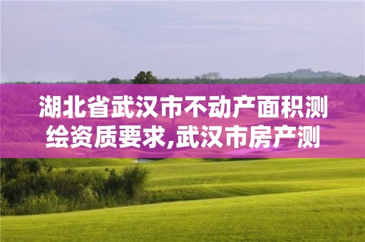 湖北省武漢市不動產面積測繪資質要求,武漢市房產測繪中心簡介。