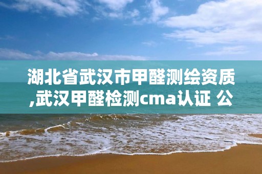 湖北省武漢市甲醛測繪資質,武漢甲醛檢測cma認證 公司