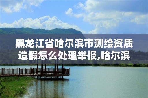 黑龍江省哈爾濱市測繪資質造假怎么處理舉報,哈爾濱測繪局是干什么的