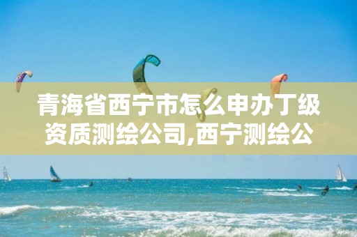 青海省西寧市怎么申辦丁級資質測繪公司,西寧測繪公司聯系方式。