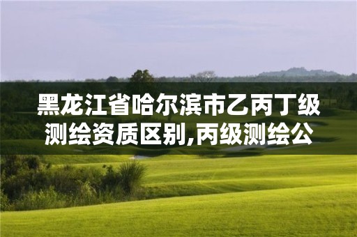 黑龍江省哈爾濱市乙丙丁級測繪資質(zhì)區(qū)別,丙級測繪公司