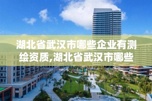 湖北省武漢市哪些企業有測繪資質,湖北省武漢市哪些企業有測繪資質證書