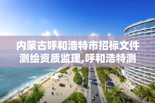 內蒙古呼和浩特市招標文件測繪資質監理,呼和浩特測繪局屬于什么單位管理