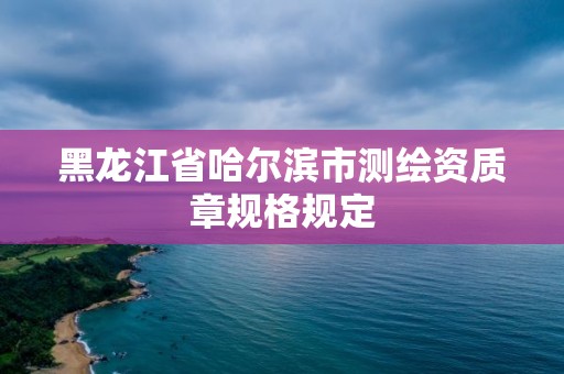 黑龍江省哈爾濱市測繪資質章規格規定