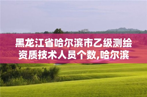 黑龍江省哈爾濱市乙級測繪資質技術人員個數,哈爾濱測繪局工資怎么樣。