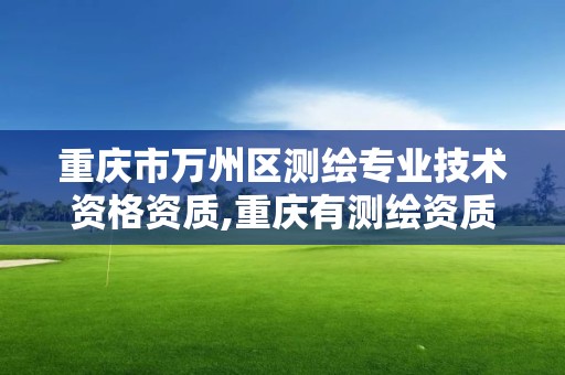 重慶市萬州區測繪專業技術資格資質,重慶有測繪資質測繪公司大全。