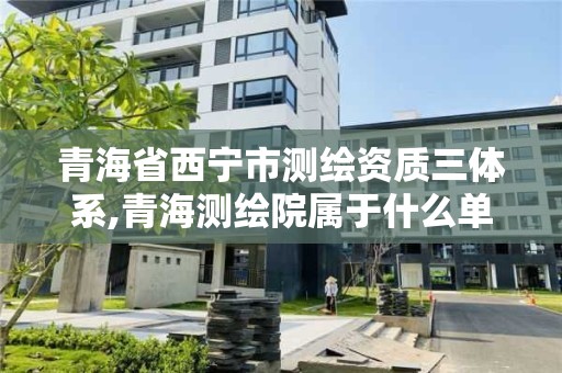 青海省西寧市測繪資質(zhì)三體系,青海測繪院屬于什么單位