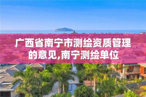 廣西省南寧市測繪資質管理的意見,南寧測繪單位