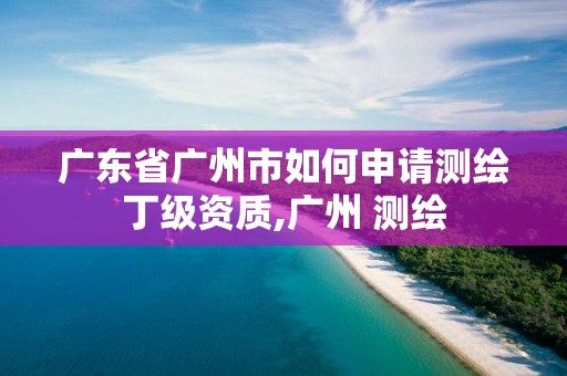 廣東省廣州市如何申請測繪丁級資質,廣州 測繪