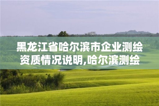 黑龍江省哈爾濱市企業(yè)測繪資質(zhì)情況說明,哈爾濱測繪局怎么樣