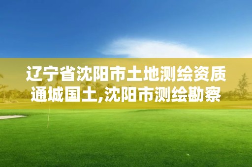 遼寧省沈陽市土地測繪資質通城國土,沈陽市測繪勘察研究院