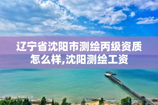 遼寧省沈陽市測繪丙級資質怎么樣,沈陽測繪工資