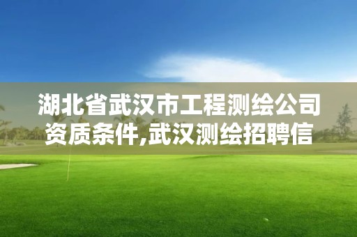 湖北省武漢市工程測繪公司資質(zhì)條件,武漢測繪招聘信息