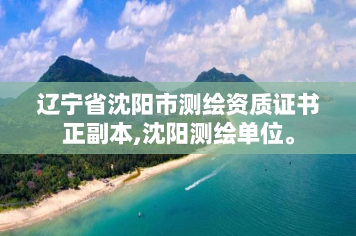 遼寧省沈陽市測繪資質(zhì)證書正副本,沈陽測繪單位。