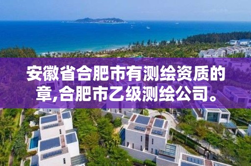 安徽省合肥市有測繪資質的章,合肥市乙級測繪公司。