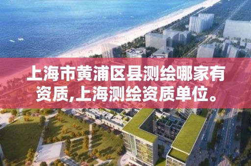 上海市黃浦區縣測繪哪家有資質,上海測繪資質單位。